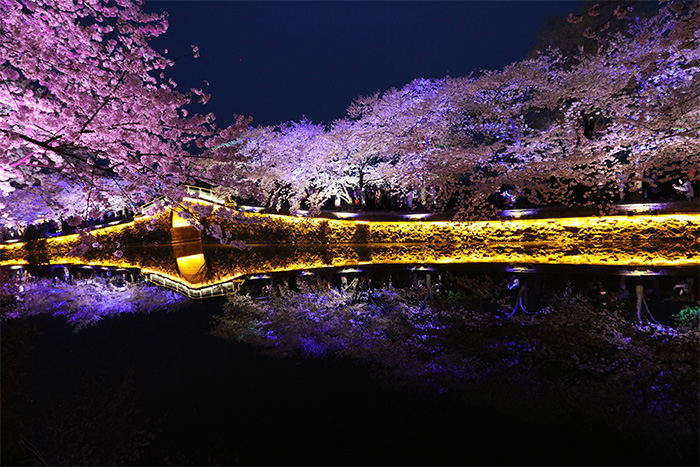 樹(shù)木亮化設(shè)計(jì)